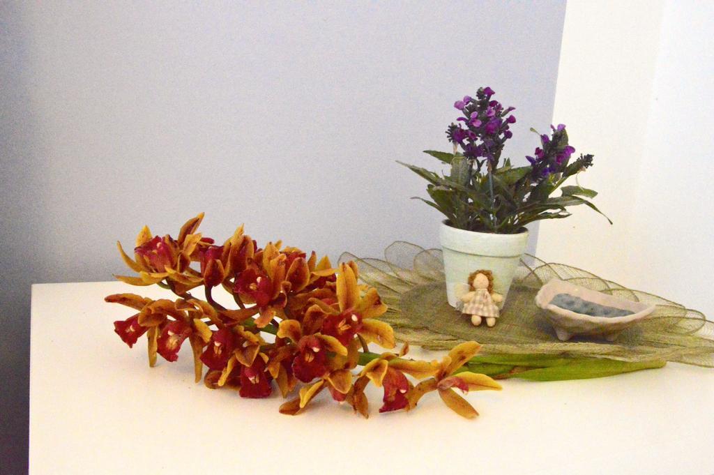Orchidea Apartments マスカリ エクステリア 写真