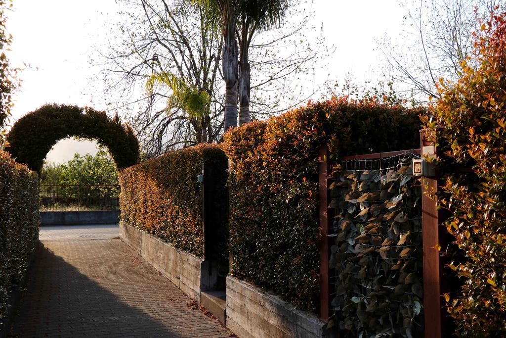 Orchidea Apartments マスカリ エクステリア 写真
